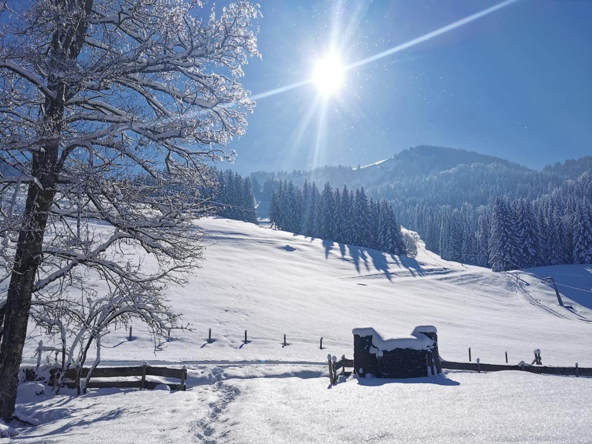 Konstanzer Bergblick Mit Wintergarten Oberstaufen Ngoại thất bức ảnh